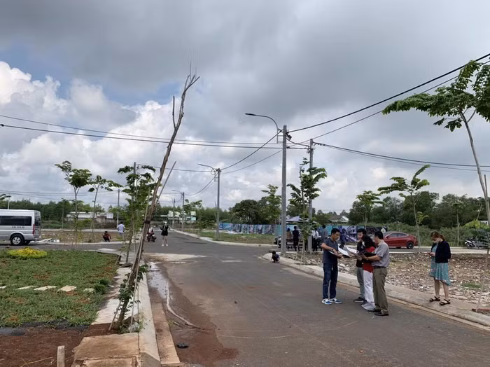 đấu giá đất