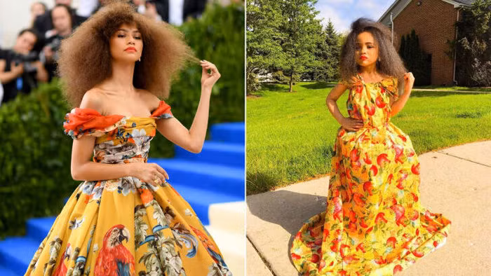 Sao thế giới “tham dự” MET Gala … tại nhà ảnh 7