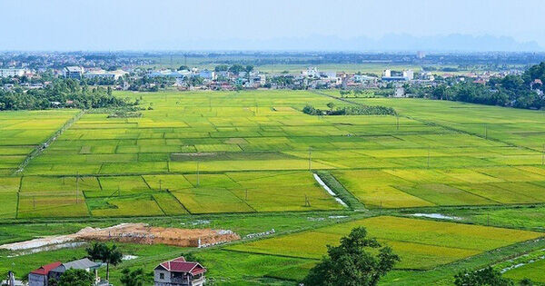 Bộ Tài nguyên và Môi trường sẽ kiểm tra quản lý đất đai tại 26 tỉnh, thành phố trong năm 2021