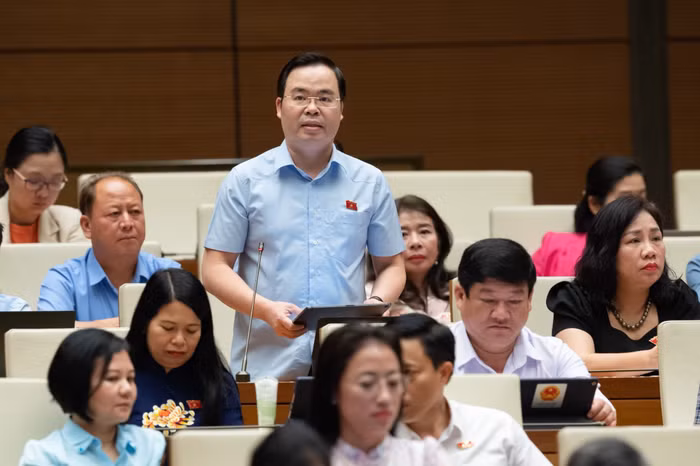 Luật Đất đại