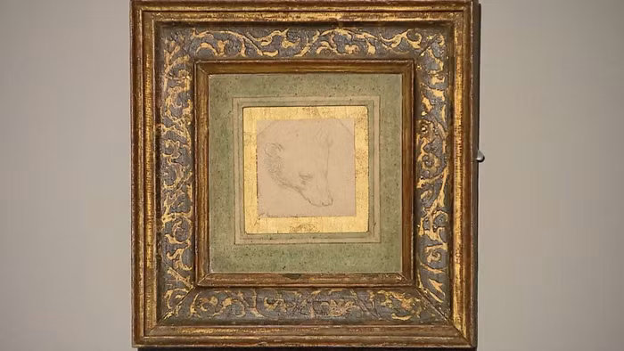Bức vẽ ‘Đầu gấu’ của danh hoạ Da Vinci có thể được bán với giá 16 triệu USD