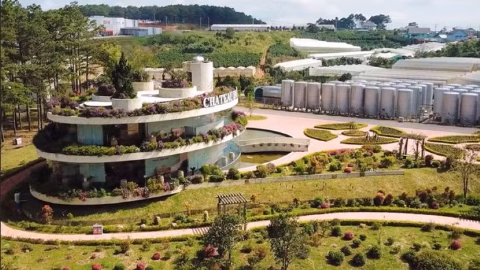 LadoFoods được công nhận sản phẩm đạt Thương hiệu Quốc gia Việt Nam năm 2022 đối với 2 dòng sản phẩm là Rượu vang Đà Lạt và vang Chateau Dalat.