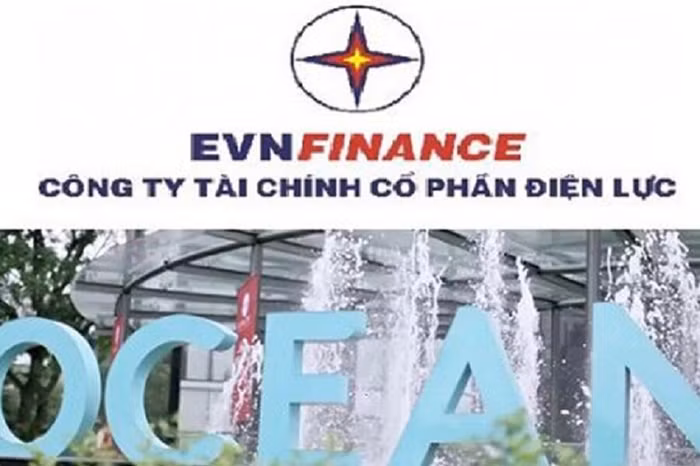 Bán hết 19,95 triệu cổ phiếu OCH, EVN Finance lãi lớn?