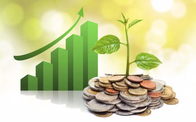 Viwaco chuẩn bị trả cổ tức bằng cổ phiếu năm 2020 tỷ lệ 100%