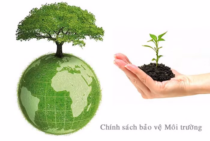 Các nội dung về môi trường được đưa vào các FTA ở mức độ cam kết hay ràng buộc khác nhau