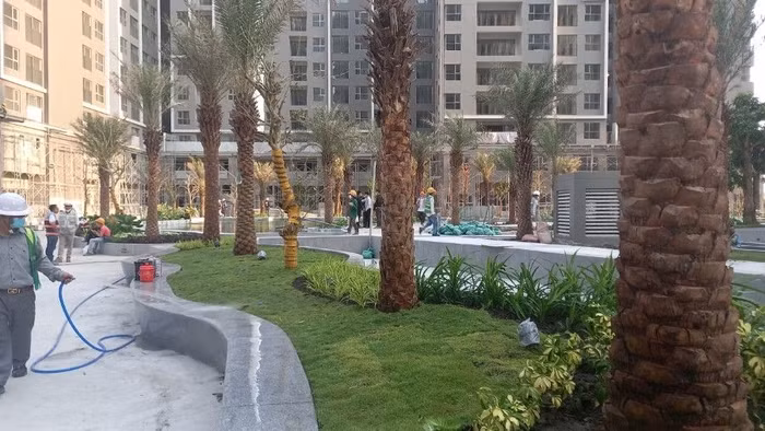 Gia đình trẻ TP.HCM chuộng căn hộ sắp bàn giao, thanh toán “nhẹ”