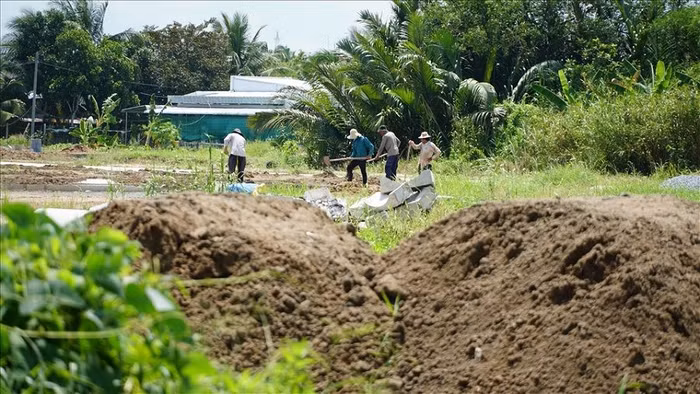 TP. Cần Thơ kiên quyết ngăn chặn tình trạng xây dựng công trình trái phép trên đất nông nghiệp