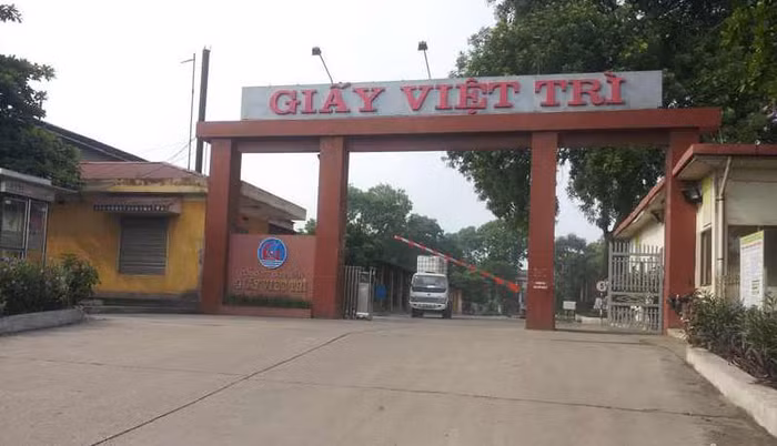 Giấy Việt Trì