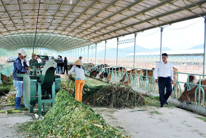 Hoàng Anh Gia Lai muốn giảm giá chuyển đổi trái phiếu