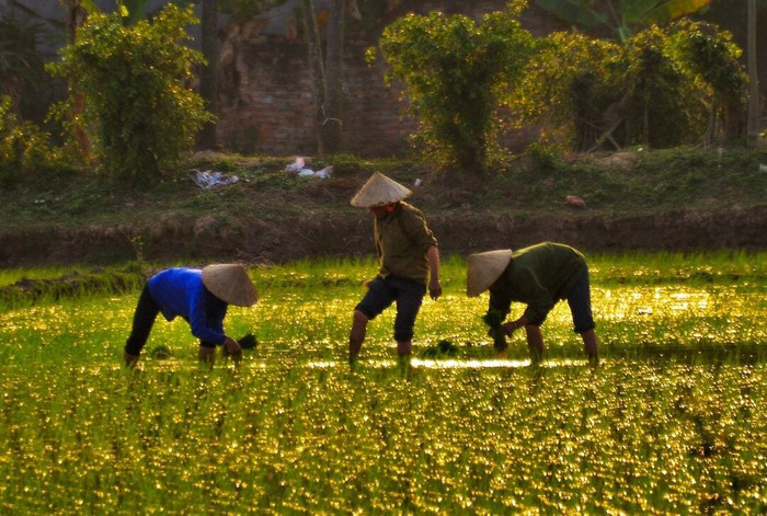 "Một nửa thế giới" trong ảnh Trần Xuân Thiều