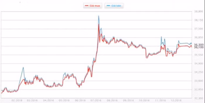 Năm 2016 vàng tăng hơn 3,5 triệu đồng/lượng ảnh 1