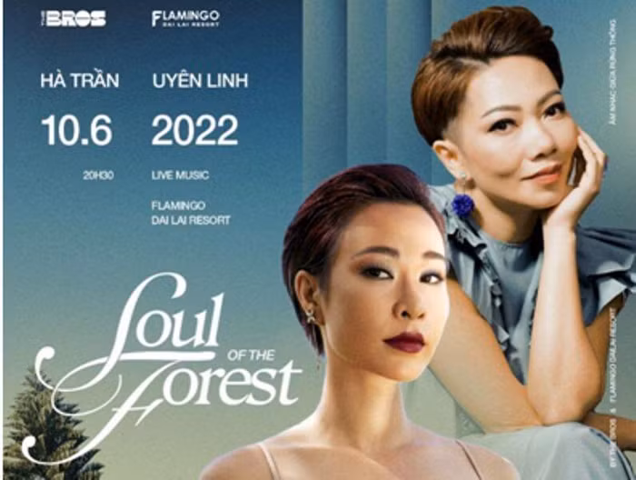 Soul of the Forest được tổ chức trong rừng thông mộng mơ