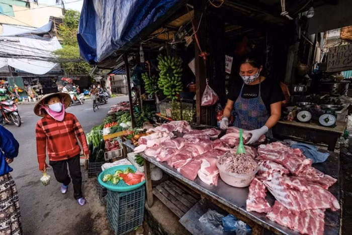 Nhập khẩu tăng trên 200%, giá thịt lợn sẽ giảm?