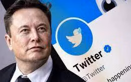 Doanh thu quảng cáo của Twitter giảm 50% sau khi về tay Elon Musk