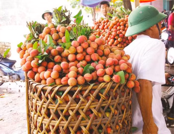 Xuất khẩu sang thị trường Australia: Bài học từ những thất bại