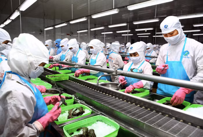 Doanh nghiệp tư nhân, bức tranh nhiều mảng sáng
