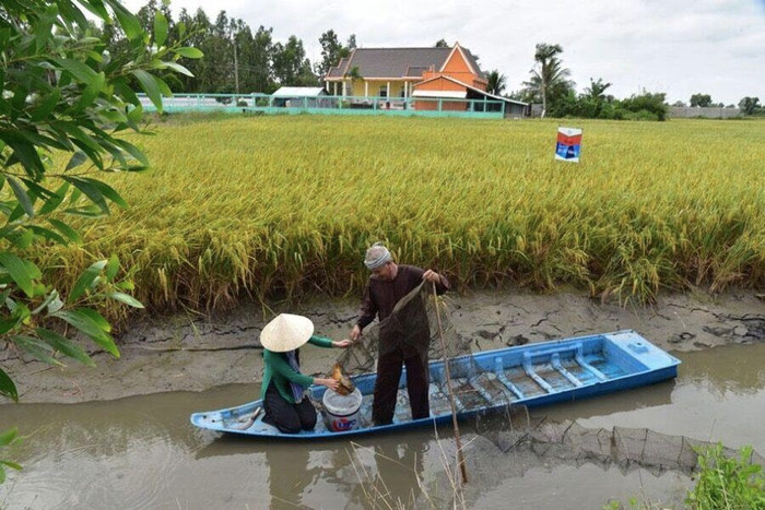 Phát triển ĐBSCL: Biến thách thức thành thời cơ