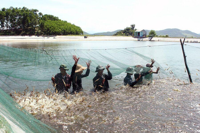 “Chết yểu” những dự án nông nghiệp