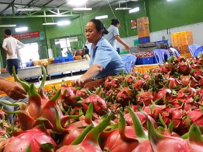 Cảnh giác với thủ đoạn lừa đảo khi xuất khẩu sang UAE