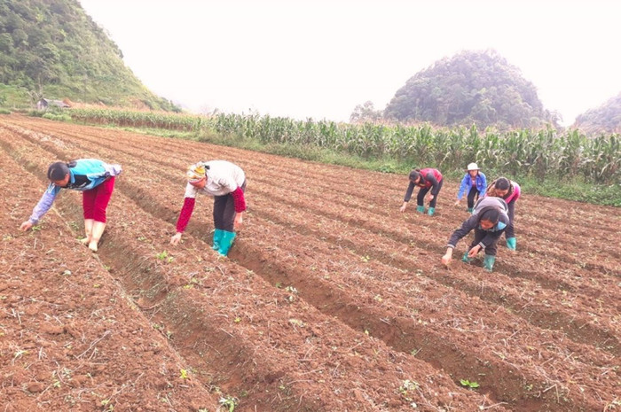 WB: Đông Á Thái Bình Dương cần chính sách mới về tăng trưởng bao trùm