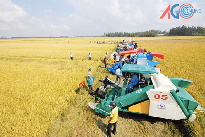 Đề xuất chính sách khuyến khích tích tụ đất đai sản xuất quy mô lớn