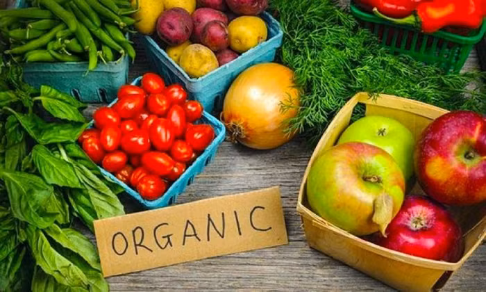 Thị trường nông nghiệp hữu cơ: Doanh nghiệp khó sống vì “vàng thau” lẫn lộn