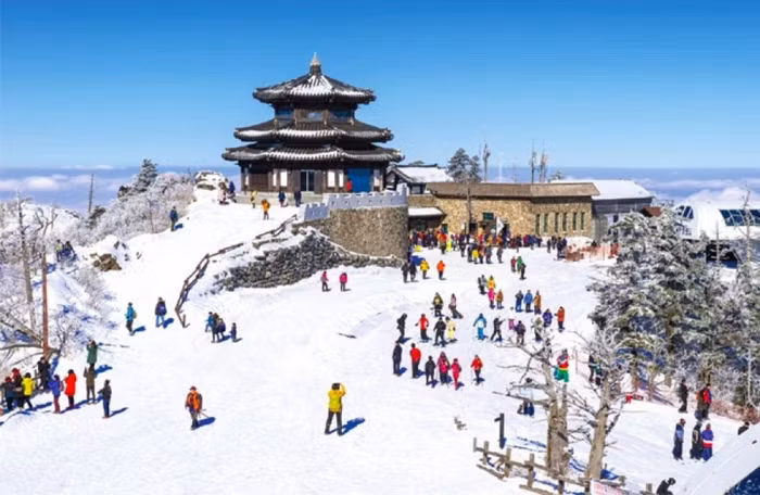 Khám phá thiên đường tuyết Gangwon