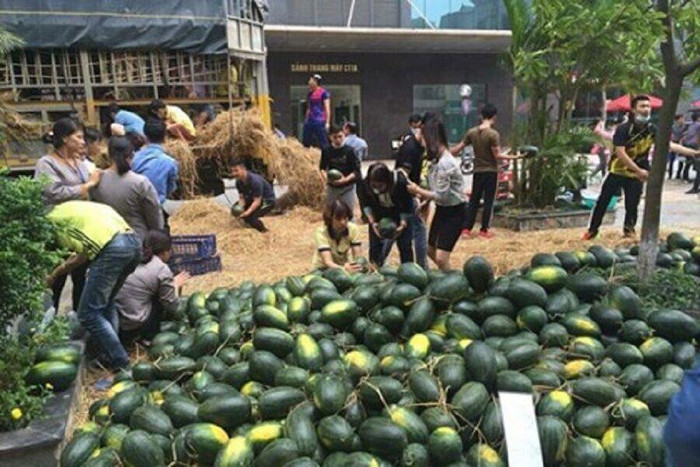 Đã có Cục chuyên lo "đầu ra" cho nông sản