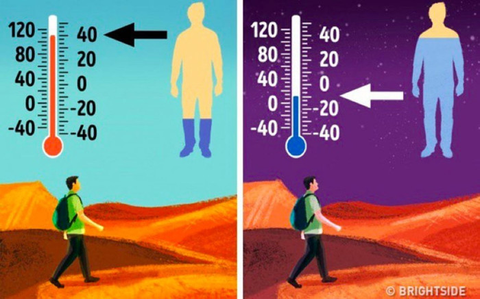 9 kỹ năng sinh tồn phải thuộc nằm lòng giúp bạn thoát nạn ảnh 2