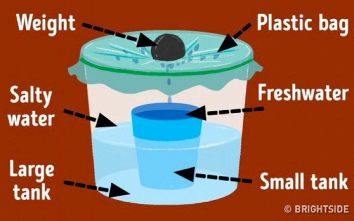 9 kỹ năng sinh tồn phải thuộc nằm lòng giúp bạn thoát nạn ảnh 1