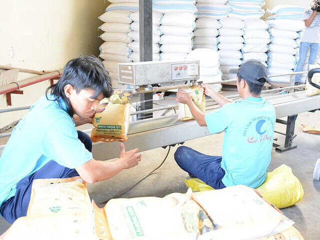 Cấm xuất khẩu gạo là hết sức vô lý ảnh 1