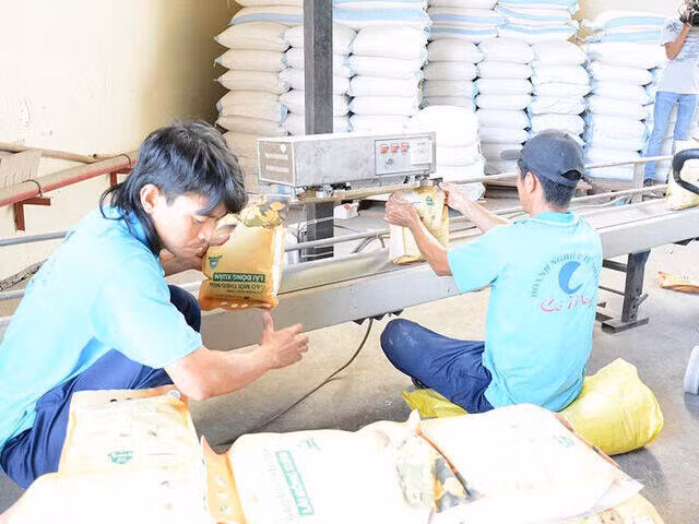 Cấm xuất khẩu gạo là hết sức vô lý ảnh 1