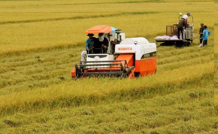 Dành hơn 300 nghìn tỷ để tái cơ cấu nông nghiệp trong 4 năm