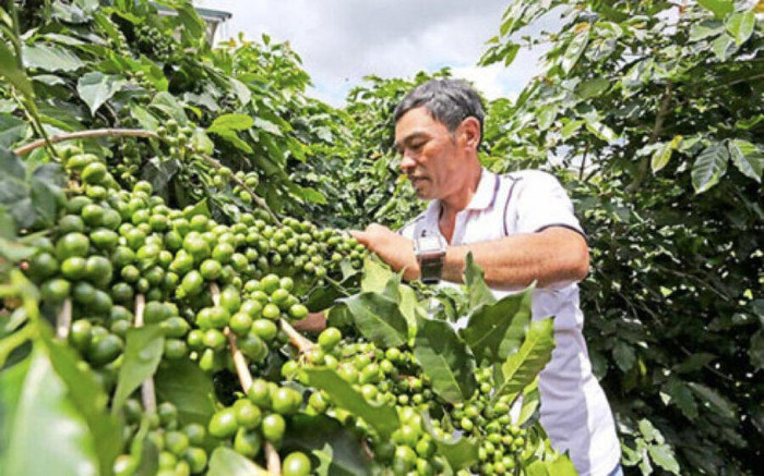 Hỗ trợ nông dân khởi nghiệp cần cơ chế đặc thù