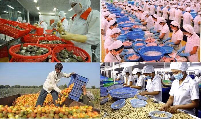 Thị trường xuất khẩu nông sản: Khó khăn chưa giảm