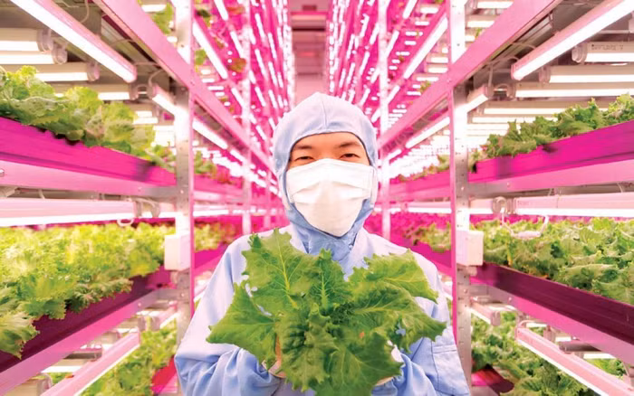 Nông dân còn gặp nhiều khó khăn trong tiếp cận công nghệ thời 4.0