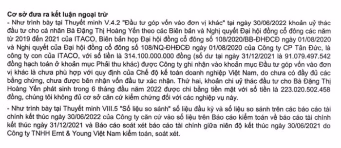 Báo cáo bán niên soát xét Tân Tạo