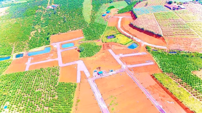 Lâm Đồng: Kiên quyết không điều chỉnh quy hoạch để hợp thức hóa sai phạm về “phân lô, tách thửa”