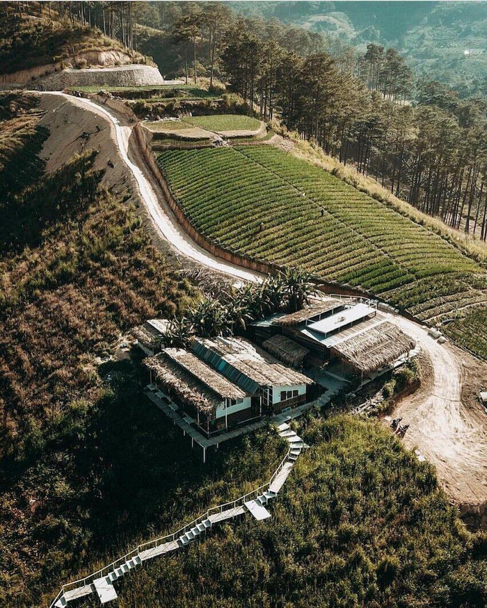 Cháy lớn ở homestay Đà Lạt, giật mình sự tắc trách của chủ nhà ảnh 2