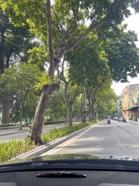 Những con phố Hà Nội vắng lặng trong đại dịch (Ảnh Ngô Thị Thúy)