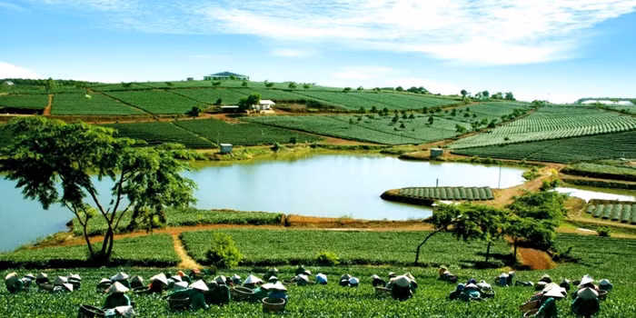 thành phố Bảo Lộc