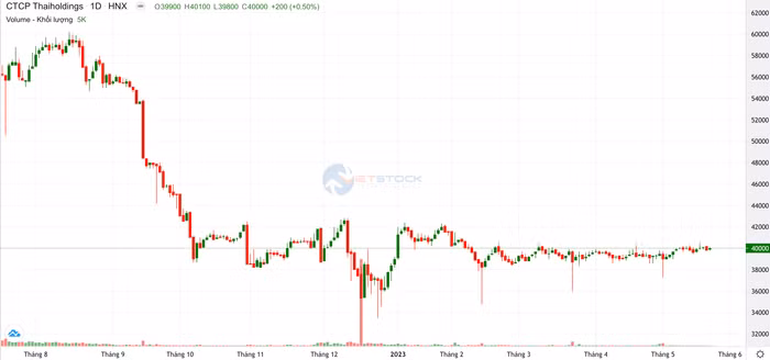 Công ty Cổ phần ThaiHoldings (mã chứng khoán: THD) 