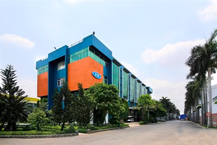 Lãi ròng "bốc hơi" 89% sau soát xét, Gỗ Trường Thành (TTF) cho biết gì?