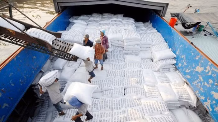 Nhờ lợi thế từ EVFTA xuất khẩu gạo năm 2021 tăng cao
