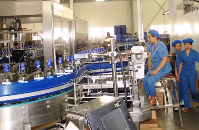 Halico thua lỗ nhiều năm, cổ phiếu lên sàn "giá bèo"