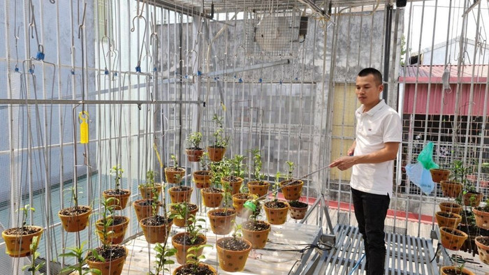 Doanh nhân Hoangnam Jsc: Hoa lan là niềm đam mê của tôi Doanh nhân Hoangnam Jsc: Hoa lan là niềm đam mê của tôi