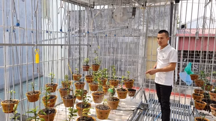 Doanh nhân Hoangnam Jsc: Hoa lan là niềm đam mê của tôi