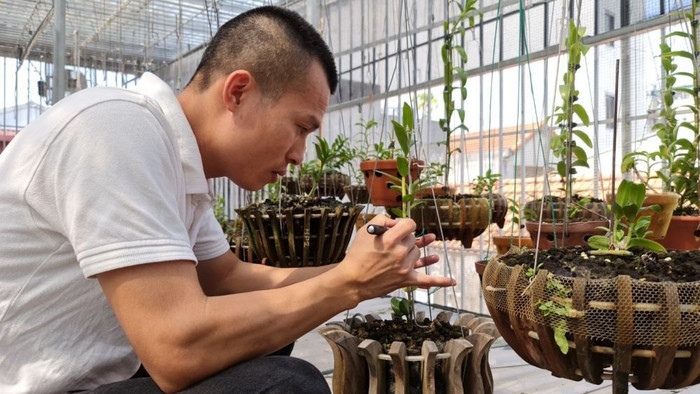 Doanh nhân Hoangnam Jsc tỉ mỉ chăm sóc vườn lan của mình Doanh nhân Hoangnam Jsc tỉ mỉ chăm sóc vườn lan của mình