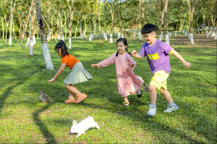 Miền cổ tích giữa đại đô thị xanh Miền cổ tích giữa đại đô thị xanh