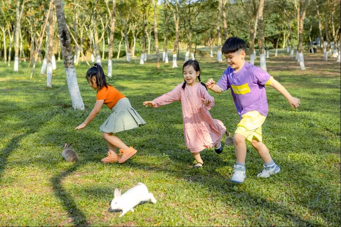 Miền cổ tích giữa đại đô thị xanh